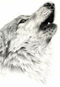 Обложка книги "Не тот Выход"