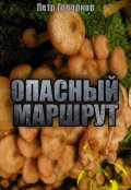 Обложка книги "Опасный Маршрут"