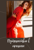 Обложка книги "Путешествие в прошлое."