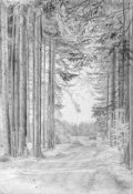 Обложка книги "Почему нужно беречь лес?"