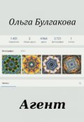 Обложка книги "Агент"