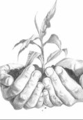 Обложка книги "Чувство доброты."