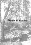 Обложка книги "Брат за брата"