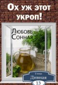 Обложка книги "Дивная 13. Ох уж этот укроп! "