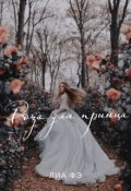 Обложка книги "Роза для принца"