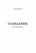Обложка книги "Практикум "Созидание""