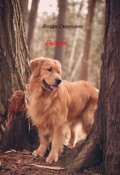Обложка книги "Рыжая"