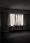 Обложка книги "Окно (первый этюд)"