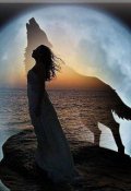 Обложка книги "Философия одиночества"