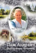Обложка книги "Пим Андреич"