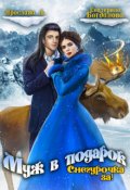 Обложка книги "Муж в подарок. Снегурочка за!"