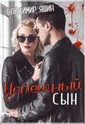 Обложка книги "Успешный сын"