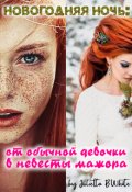Обложка книги "Новогодняя ночь: от обычной девочки в невесты мажора"