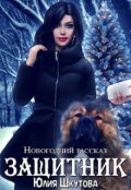 Обложка книги "Защитник"