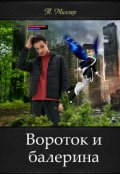 Обложка книги "Вороток и балерина"