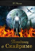 Обложка книги "Попаданец в Скайриме"