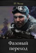 Обложка книги "Фазовый переход"