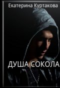 Обложка книги "Душа Сокола "