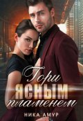 Обложка книги "Гори ясным пламенем"