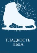 Обложка книги "Гладкость льда"
