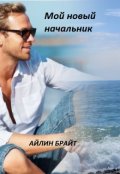 Обложка книги "Мой новый начальник"