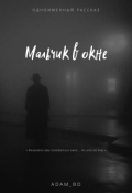 Обложка книги "Мальчик в окне"