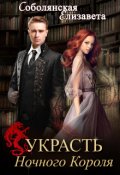 Обложка книги "Украсть Ночного короля"