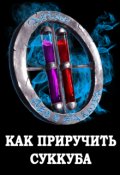 Обложка книги "Я попал в Литрпг, или как приручить суккуба"