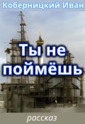 Обложка книги "Ты не поймёшь"