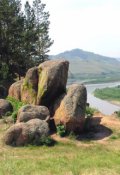 Обложка книги "Старый пёс."