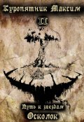 Обложка книги "Путь к звездам. Книга 2.Осколок"