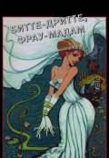 Обложка книги "Телохранитель Ника. Битте-дритте, фрау-мадам!"