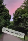 Обложка книги "Бабушка на скейте"