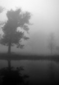 Обложка книги "спас ли ты меня?"