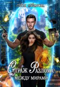 Обложка книги "Страж Разлома между Мирами "