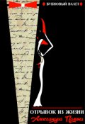 Обложка книги "Отрывок из жизни Александра Палина"