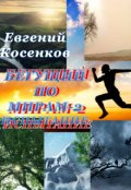 Обложка книги "Бегущий по мирам-2. Испытание"