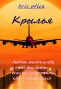 Обложка книги "Крылья"