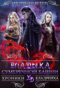 Обложка книги "Владыка сумеречной башни"