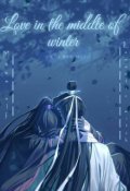Обложка книги "Love in the middle of winter"