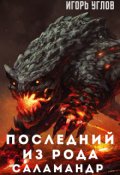 Обложка книги "Последний из рода саламандр"