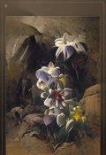 Обложка книги "Кукушка"