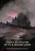 Обложка книги "Охота на магов: путь к возмездию"