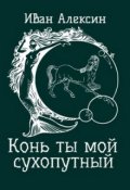 Обложка книги "Конь ты мой сухопутный"