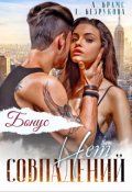 Обложка книги "Совпадений нет. Бонус"