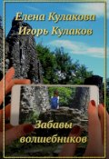 Обложка книги "Забавы волшебников"
