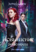 Обложка книги "Monsta.com: Повышение без возврата"