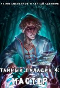 Обложка книги "Тайный паладин 4: Мастер"