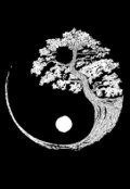 Обложка книги "Инь-Янь: Разрыв вселенной. Часть 2."