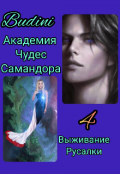 Обложка книги "Академия Чудес Самандора ждёт Вас! 4."